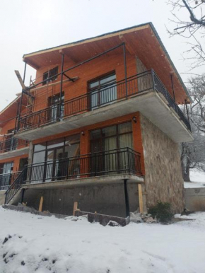 Luxury Villa in the heart of Bakuriani